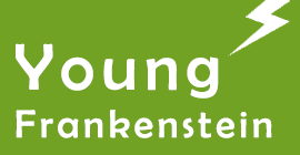 YoungFrankensteinBox